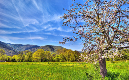 507250 (a): :2560x1600